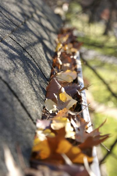 Gutter Clog Removal Service